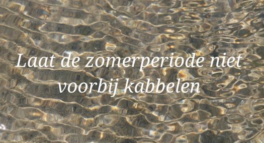 zomerperiode